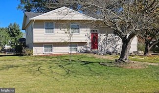 8001 Hammond St, Alexandria, VA 22309