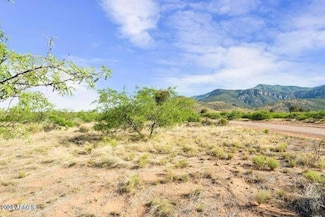 4 Acres S Stephanie Place, Hereford, AZ 85615