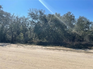 000 NE 93 Ln, East Bronson, FL 32621