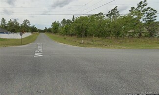 2446 W Swanson Dr, Citrus Springs, FL 34434