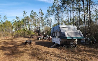 0 Rock Island Rd Unit 124384, Perry, FL 32347