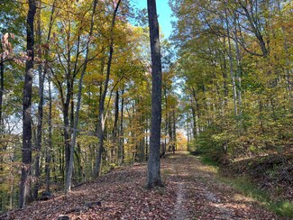 0 River Rd, Walton, WV 25286