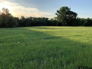 13167 (Lot 4) County Road 420, Tyler, TX 75704