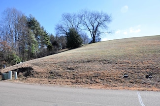 Lot 2 Harbor Point Rd, Butler, TN 37640