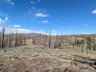 971 Huntington Ln, Fort Garland, CO 81133