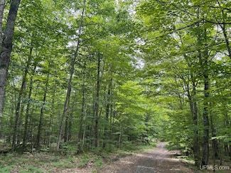 TBD Rova - 160 Acres Rd, Atlantic Mine, MI 49905