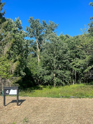 6854 Morrison Hills Ct, Dexter, MI 48130