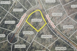 Lot 126 Pleasant Place, Rutherfordton, NC 28139