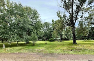 Lots B & C Steve Hughes Rd, Walker, LA 70785