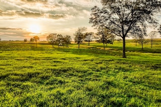 TBD Sunny Hills Lot 1 Dr, Chappell Hill, TX 77426