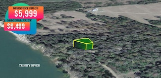 0 Dogwood St, Goodrich, TX 77335