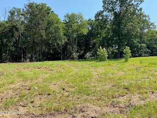 0 Mount Pleasant Rd, Byhalia, MS 38611