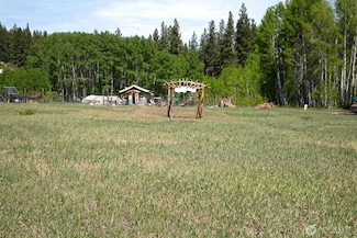 64 Elmer Rd, Twisp, WA 98856