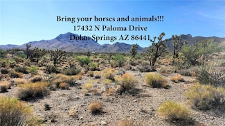 17432 N Paloma Dr, Dolan Springs, AZ 86441