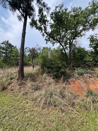 Lot 1671 TBD Moku Ct, Bastrop, TX 78602