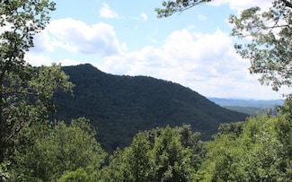 133 Shiloh Ridge, Hayesville, NC 28904