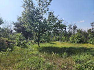 0 Stitt Ln Unit 25033224, Mio, MI 48647