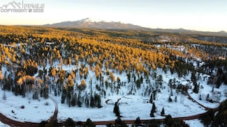 974 W Bison Creek Trail, Divide, CO 80814
