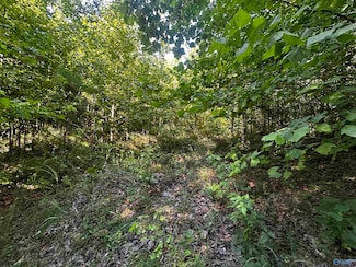 12.19 Jerry St NE, Fort Payne, AL 35967