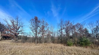 0 Vl 68th St, Baldwin, MI 49304