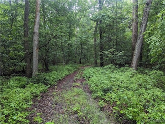 0 Good Hope Rd Unit 2501743, New Kent, VA 23089