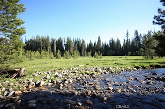 10 AC Beasore Rd, Bass Lake, CA 93604