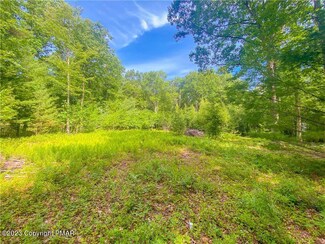 Lot 16 Sterner Run Rd, Polk Township, PA 18058