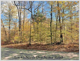 Lot #3 N Dorchester Rd, Wentworth, NH 03282