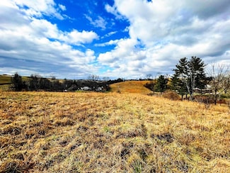 .72 ac S Petunia Rd, Wytheville, VA 24382