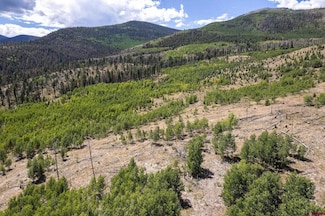 655 Elk Ct, South Fork, CO 81154