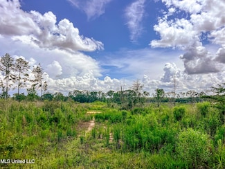 0 Graves Chapel Rd, Liberty, MS 39645