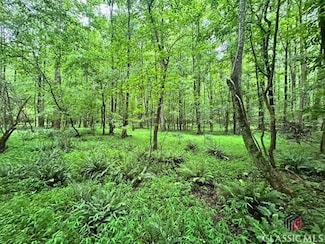 0 Cedar Ln Unit 1026097, Danielsville, GA 30633