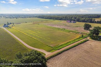 0 Kemler Rd, Eaton Rapids, MI 48827