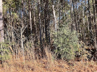 TBD Albritton Trail SW, Bogue Chitto, MS 39629