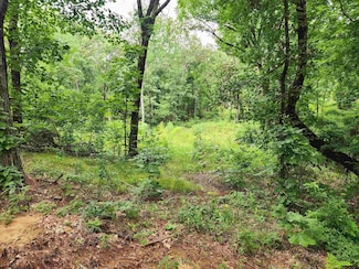 Lot 6 Cr 4125, Lindale, TX 75771