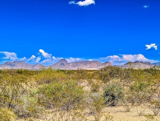 16320 Javelina Run, Terlingua, TX 79852