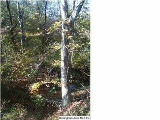 0 Camp Branch Rd Unit 482347, Woodstock, AL 35074