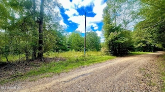 1297 Joe Johnson Rd, Bolton, MS 39041