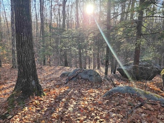 0 Old Tipping Rock Rd Unit 34, Winchester, NH 03470