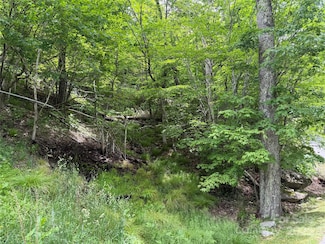 TBD Wakeman Way, Banner Elk, NC 28604