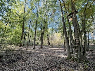 7710 21 Mile Rd NE, Sand Lake, MI 49343