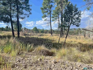 27 Balkans Dr, Timberon, NM 88350