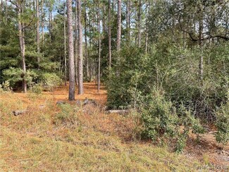 0 SW 59th Ln Unit 838969, Dunnellon, FL 34431