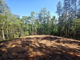 Lot 5 Megan Trace Ln, Turtletown, TN 37391