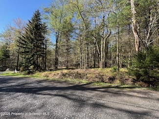 201 Sharon Ln, Thornhurst Township, PA 18424