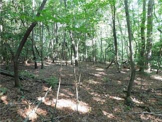 00 Chester Rd, Dahlonega, GA 30533