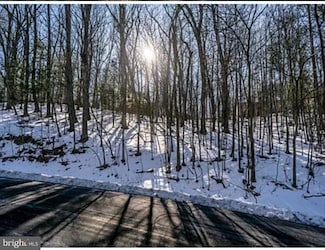 2246 Lanier Ln, McGaheysville, VA 22840