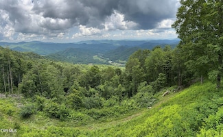 Tbd Log Cabin Ln, Roan Mountain, TN 37687