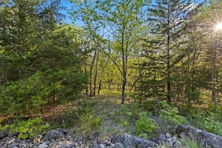 Ver Schure Place, Edwards, MO 65326
