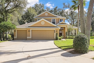 3202 Stonebridge Trail, Valrico, FL 33596